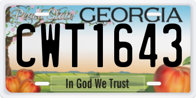 GA license plate CWT1643