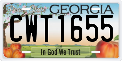 GA license plate CWT1655