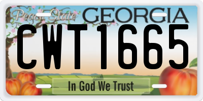 GA license plate CWT1665