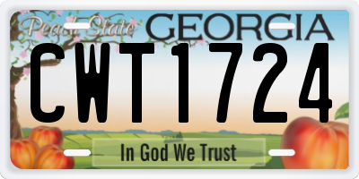 GA license plate CWT1724