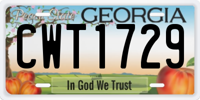 GA license plate CWT1729
