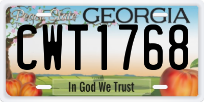 GA license plate CWT1768