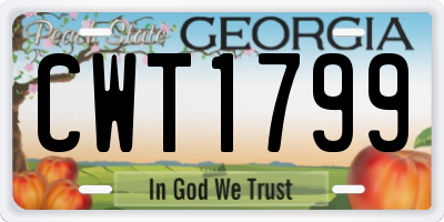GA license plate CWT1799