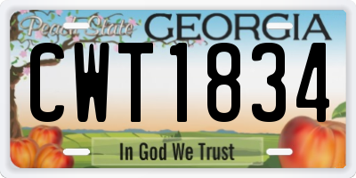 GA license plate CWT1834