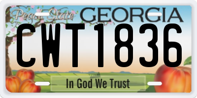 GA license plate CWT1836