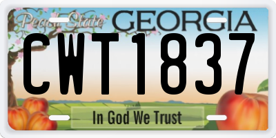 GA license plate CWT1837