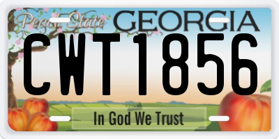 GA license plate CWT1856