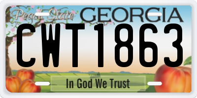 GA license plate CWT1863