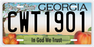 GA license plate CWT1901