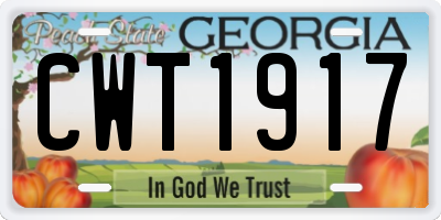 GA license plate CWT1917