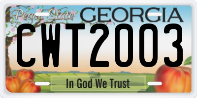 GA license plate CWT2003