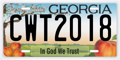 GA license plate CWT2018