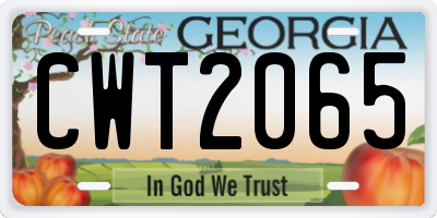 GA license plate CWT2065