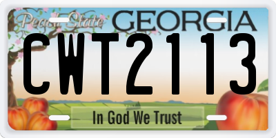 GA license plate CWT2113