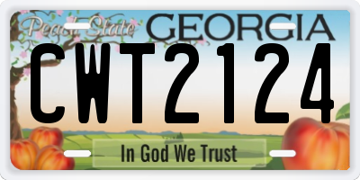 GA license plate CWT2124