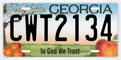 GA license plate CWT2134
