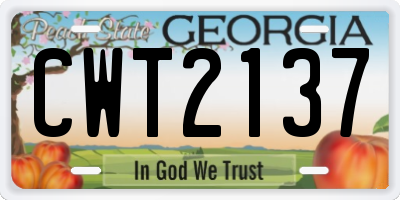 GA license plate CWT2137