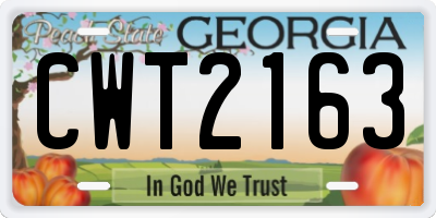 GA license plate CWT2163