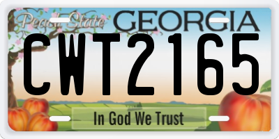 GA license plate CWT2165