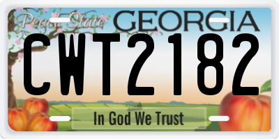 GA license plate CWT2182