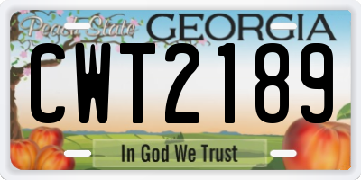 GA license plate CWT2189