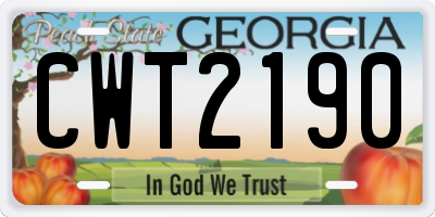 GA license plate CWT2190