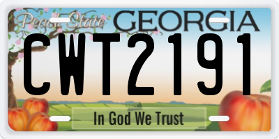 GA license plate CWT2191