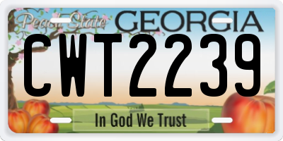 GA license plate CWT2239