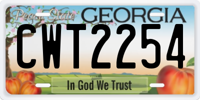 GA license plate CWT2254