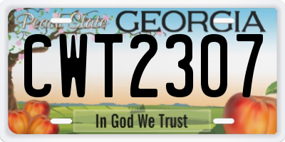 GA license plate CWT2307