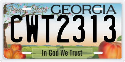 GA license plate CWT2313