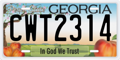 GA license plate CWT2314