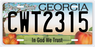 GA license plate CWT2315