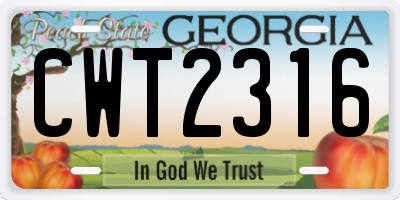 GA license plate CWT2316
