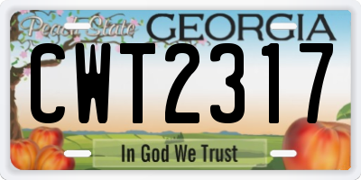 GA license plate CWT2317