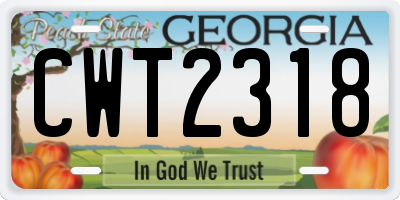 GA license plate CWT2318