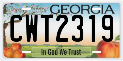 GA license plate CWT2319