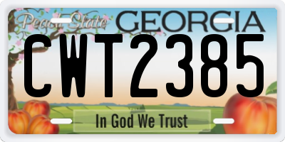 GA license plate CWT2385