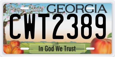 GA license plate CWT2389