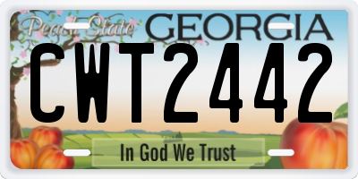 GA license plate CWT2442