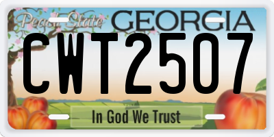 GA license plate CWT2507