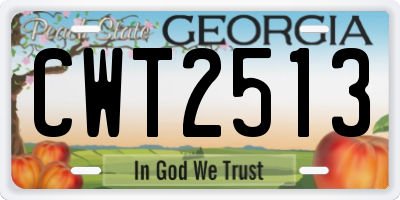 GA license plate CWT2513