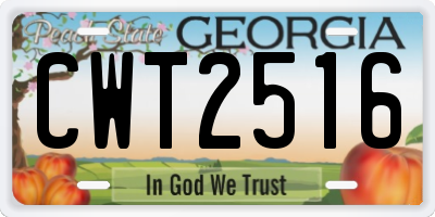 GA license plate CWT2516