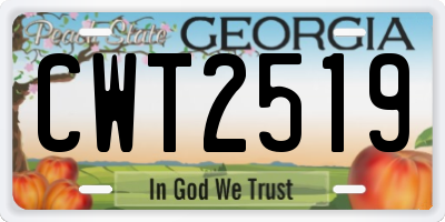 GA license plate CWT2519