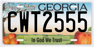 GA license plate CWT2555
