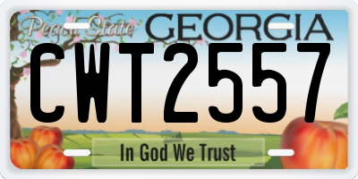 GA license plate CWT2557