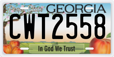 GA license plate CWT2558