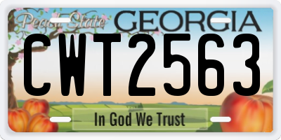 GA license plate CWT2563