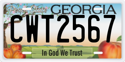 GA license plate CWT2567