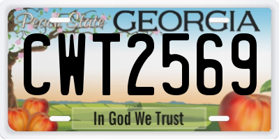 GA license plate CWT2569